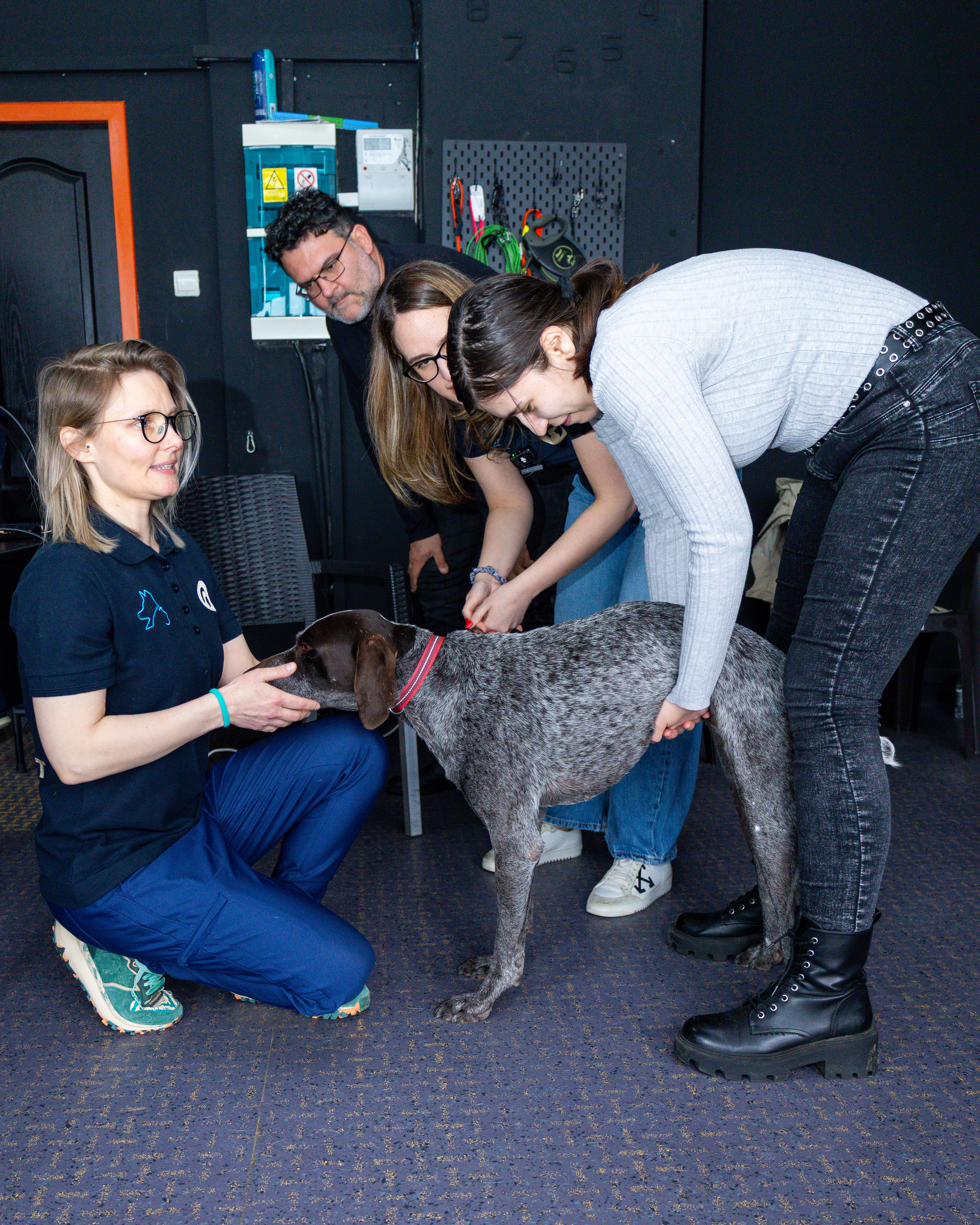 Demonstrație tehnică