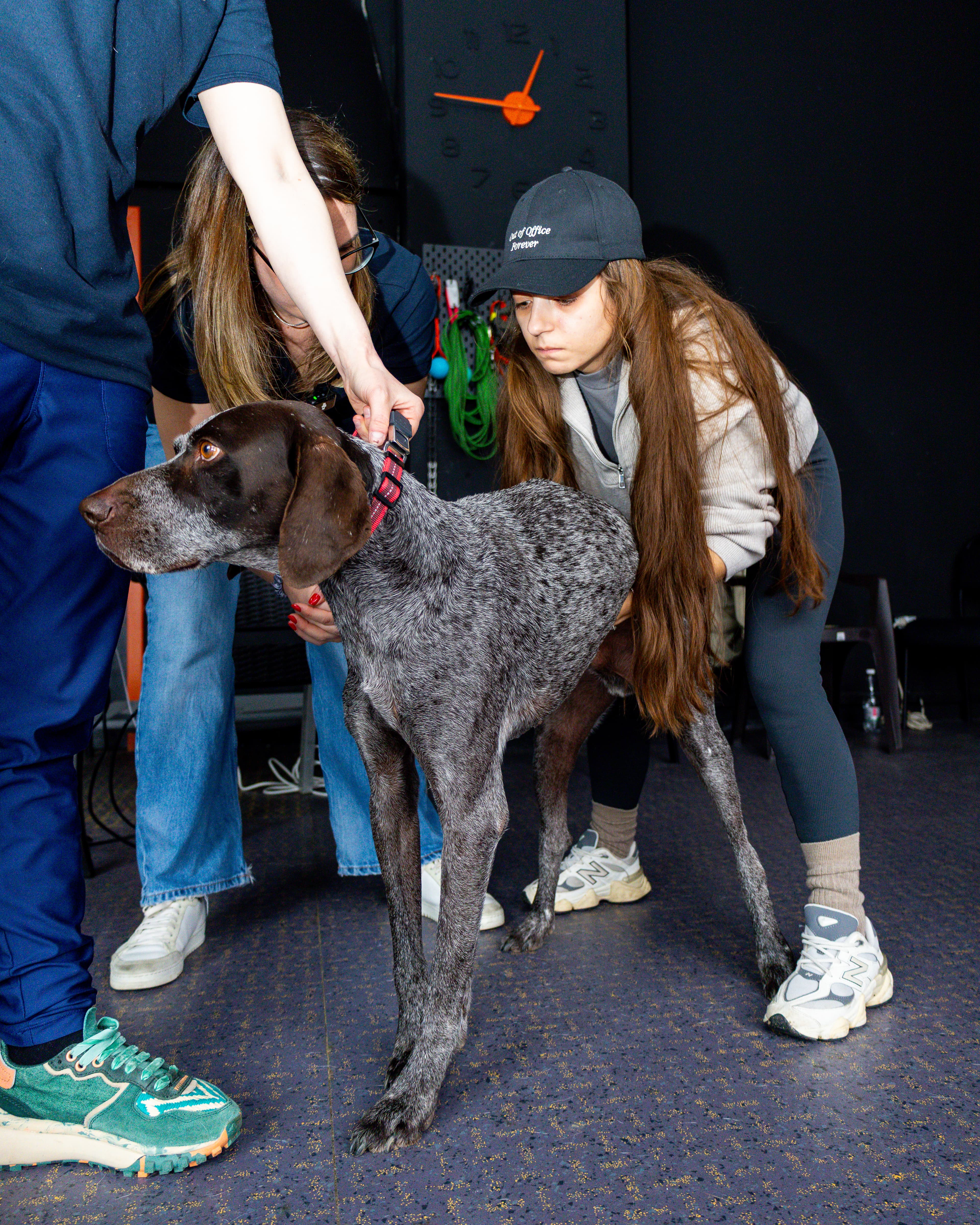 Practică participants